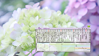 6月の販促カレンダー