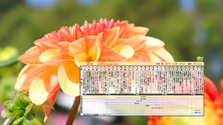 9月の販促カレンダー