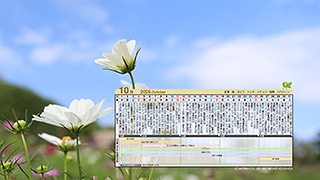 10月の販促カレンダー