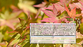11月の販促カレンダー
