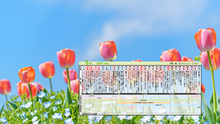 5月の販促カレンダー