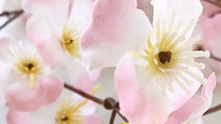 桜の造花