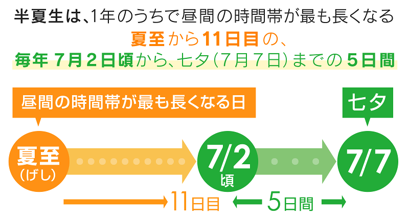占い 名前 生年 月 日