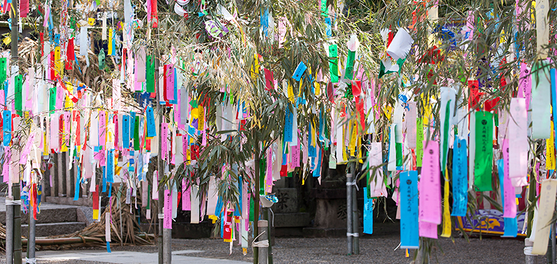 七夕笹と短冊