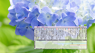 販促カレンダー 株式会社アルファ
