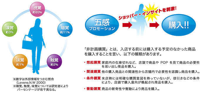 外部情報をつかむ五感の割合